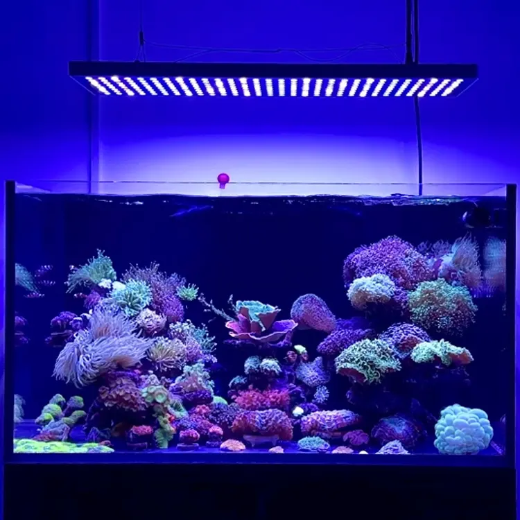Aqua Max 900 Quang Phổ Đầy Đủ Fish Tank Ánh Sáng Đèn Ứng Dụng Điều Khiển LED Marine Aquarium Ánh Sáng