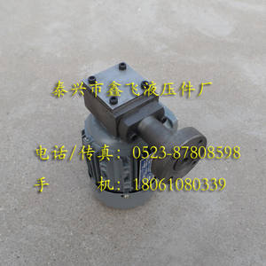 Unité de pompe à huile à rotor ZCB-0.8, moteur Shengzhou Changfeng YS5014, triphasé asynchrone, pompe à vis 40W - Product Image 2