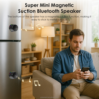 Haut-parleur Bluetooth 5.3 TWS, haut-parleur sans fil portable magnétique, charge Type-C, pour intérieur, extérieur et cadeau