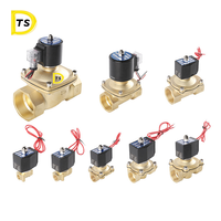 Vente chaude Solénoïde normalement fermé 304 acier inoxydable gaz air asco Parker bobine eau mini électrovanne