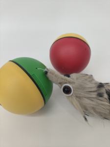 Cani e gatti amano le donnole palline di castoro elettriche divertenti giocattoli a palla rotolante animali domestici per bambini che saltano divertenti giocattoli mobili - Product Image 2