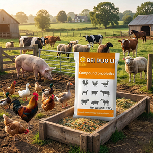 Probiótico Compuesto en Polvo de Grado Alimenticio para el Crecimiento Animal y Estimulación de la Producción de Huevos, Salud Intestinal y Apoyo Nutricional - Product Image 1