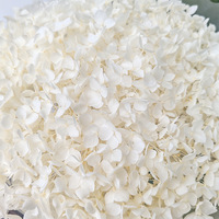 Mini bouquet d'hortensias naturels préservés DIY 20A-40 cm – Fleur artificielle décorative fraîche