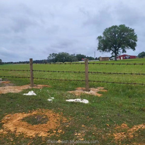 <span class=keywords><strong>Alambre</strong></span> <span class=keywords><strong>de</strong></span> Púas Galvanizado Tradicional <span class=keywords><strong>de</strong></span> 400m 500m, 50kg por Rollo, Precio del <span class=keywords><strong>Alambre</strong></span> Galvanizado para Etiopía y Sudán - Product Image 2