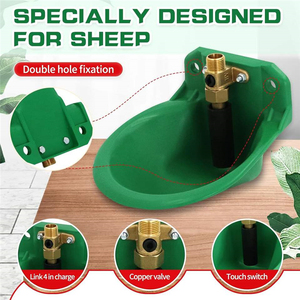 Abreuvoir en laiton de qualité supérieure pour animaux de ferme, chèvres et moutons - Product Image 5