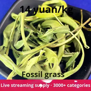Herbe fossile grande feuille rein en vrac essence thé herbe dorée brute source d'origine fabriquée à la main pierre de thé fossile - Product Image 2