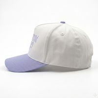 Gorra de Béisbol Estructurada de 5 Paneles, 100% Algodón, de Alta Calidad, con Logotipo Bordado Personalizado, Unisex, Ajustable, Deportiva e Informal