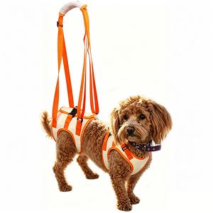 Arnés de Soporte para Perros, Cinturón de Elevación para Perros Discapacitados, Ancianos, con Artritis o Lesiones, Ayuda para Caminar, Arnés de Elevación para Mascotas - Product Image 1