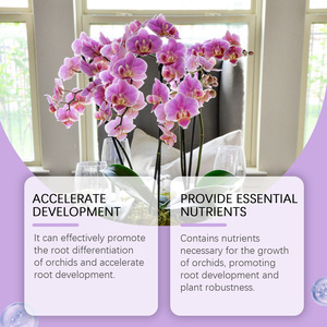 MoonSpry Hecho en China - Product Image 2