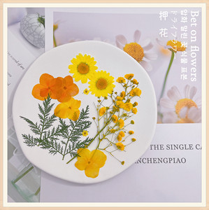 G148, venta al por mayor, <span class=keywords><strong>flores</strong></span> <span class=keywords><strong>secas</strong></span> reales naturales, <span class=keywords><strong>flores</strong></span> prensadas <span class=keywords><strong>secas</strong></span> para manualidades, joyería, <span class=keywords><strong>uñas</strong></span>, decoración de velas, materiales Diy - Product Image 2