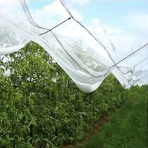 Nhà Máy Bán Hàng Trực Tiếp Màu Đen/Trắng Nhựa Lưới Nông Nghiệp Chống Mưa Đá Net Cho Cây Táo - Product Image 5