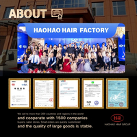 Extensions de cheveux humains lisses dorés 100% vierges, soyeux, sans nœuds, sans perte, faciles à coudre pour usage quotidien, fêtes, mariages et coiffures en salon