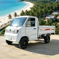 Camionnette électrique puissante de 3000 W, batterie 72 V 100 Ah, capacité de charge de 1000 kg, véhicule utilitaire électrique avec suspension intégrale pour les routes accidentées