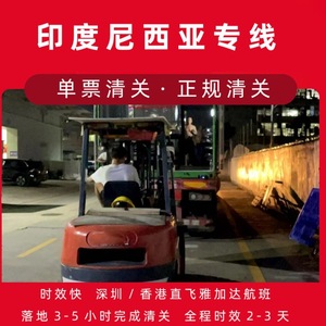 Ligne de fret aérien Shenzhen Junfei Logistics Indonésie, livraison rapide de Shenzhen vers l'Indonésie, dédouanement de marchandises générales - Product Image 2