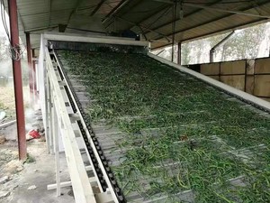 Ớt và xoài sấy khô và dehydrating equipmentbelt máy sấy cho dehydrating rau và trái cây - Product Image 3