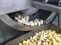 Hotsale Commerciële Wortelgewas Schilmachine Continue Schuurrol Schiller Automatische Aardappel Sojabonen Mais Pomp