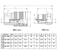 Connecteur rapide hydraulique TFH en acier au carbone direct d'usine de 3/4 pouces adapté aux tracteurs et aux machines agricoles