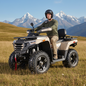 <span class=keywords><strong>Cuatrimoto</strong></span> Tao 2026 de 300cc, 4 Tiempos, a Gasolina, para Adultos, Resistente, con Marco de Acero de Alto Carbono, Transmisión Automática por Eje, Todoterreno - Product Image 1