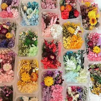 Coffret de Fleurs Séchées Stabilisées pour Art en Résine DIY, Mélange de Fleurs Séchées Naturelles Multicolores en Vrac, Kits de Matériaux