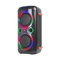   Haut-parleur Bluetooth TWS portable professionnel double 6,5 pouces avec subwoofer pour DJ et karaoké (modèles 1000, 300, 310, 200, 100)