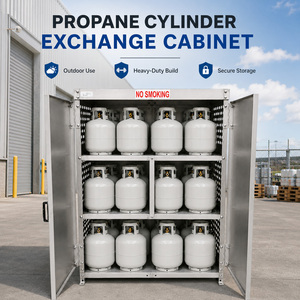 Armoire pour bouteilles <span class=keywords><strong>de</strong></span> <span class=keywords><strong>gaz</strong></span> anti-corrosion, design ventilé pour extérieur, stockage sécurisé pour plusieurs bouteilles <span class=keywords><strong>de</strong></span> propane <span class=keywords><strong>de</strong></span> 20 lb - Product Image 6