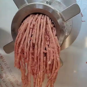 Hachoir à viande électrique commercial |   Hachoir à viande industriel en acier inoxydable 304 avec embout pour saucisses |   500 kg/h pour <span class=keywords><strong>boucherie</strong></span> - Product Image 5
