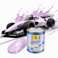 Peinture automobile haute brillance 1K couleur nacrée pour la réparation et la peinture de carrosserie automobile
