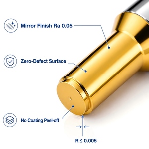 Poinçons et matrices personnalisés avec revêtement TiCN, pièces de moule d'estampage avec revêtement DLC CrN PVD, remplacement pour MISUMI DAYTON DIN ISO JIS - Product Image 2