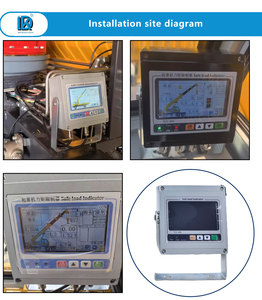 Complete Safe Load Indicator Kit Torque Computer System 12V24V Fit for Hydraulic Lorry Crane Hoist Safety Monitoring - Product Image 5