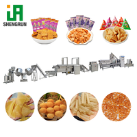 Friteuse Électrique Professionnelle pour Aliments, Machine à Frire les Pani Puri et les Chips de Plantain
