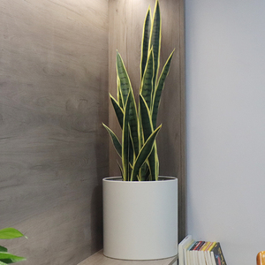 Macetas y jardineras <span class=keywords><strong>de</strong></span> metal <span class=keywords><strong>para</strong></span> jardín, grandes, redondas, baratas, blancas, fabricante a la venta - Product Image 4