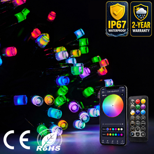 ไฟ LED RGB พิกเซล สายสีดำ ควบคุมผ่านแอพ สมาร์ท 10 เมตร 100 หลอด LED IP65 พลาสติก เชื่อมต่อได้ 100 เมตร ใช้ภายนอกได้ ตกแต่งสวน งานปาร์ตี้ - Product Image 1