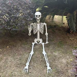 Squelettes humains d'<span class=keywords><strong>Halloween</strong></span> de bonne qualité et bon marché, <span class=keywords><strong>décoration</strong></span>, 5,4 pieds, 5 pieds, 160 cm, postures humaines, squelettes d'<span class=keywords><strong>Halloween</strong></span> - Product Image 4