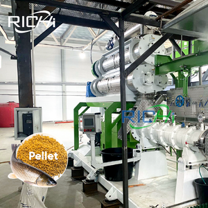 Richi miễn phí cài đặt 8-10t/h cá rô phi cá da trơn cá thức ăn đùn dòng - Product Image 1