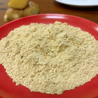 Poudre de gingembre 100 mesh, épice naturelle pure et saine du Guangxi pour la transformation alimentaire, avec une durée de conservation de 24 mois