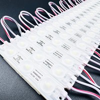 Module LED SMD2835 12V 1.5W 3LED IP68 63*13mm Haute brillance Blanc chaud/blanc froid CE RoHS Économie d'énergie pour l'éclairage publicitaire et la signalisation