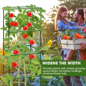 Thêm Bold cà chua lồng vuông cà chua nhà máy Stakes hỗ trợ lồng <span class=keywords><strong>trellis</strong></span> cho vườn leo rau hoa trái cây - Product Image 5