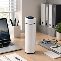 Bouteilles d'eau isothermes en acier inoxydable à double paroi de 500 ml pour l'extérieur, vierges pour sublimation, avec affichage de température, type thermos/gobelet