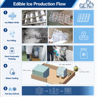 Koller – Machine à glace industrielle, 5 tonnes, Machine à glace en cristal comestible, Machine à glace cubique
