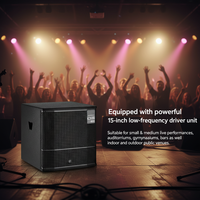 Subwoofer Activo de Alta Potencia de 15'' y 700W con DSP, Neodimio, Audio Profesional, Baja Frecuencia, para Karaoke, Fiestas y Bares