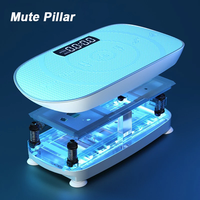 Mini machine à vibrations corporelles, plateforme vibrante et masseur vibrant pour le remodelage du corps