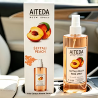 Spray de parfum pour voiture et maison personnalisé OEM & ODM, désodorisant au design moderne, éliminateur d'odeurs pour salle de bain 400ml