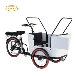 Motorlu kargo trike elektrikli yeni tasarım bisiklet üç tekerlekli kargo bisikletleri için aile