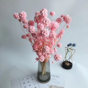 Venta caliente flores preservadas multi cabezas molino de viento fruta preservada Scabiosa <span class=keywords><strong>Pino</strong></span> <span class=keywords><strong>gusano</strong></span> maíz para decoración <span class=keywords><strong>del</strong></span> hogar - Product Image 2