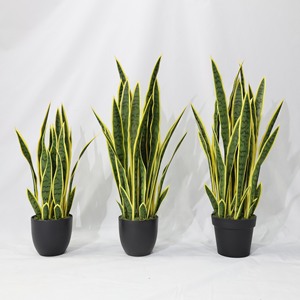 Planta Suculenta Artificial de Aloe Vera, Pequeña, de Plástico, de Alta Simulación, Precio Económico de Fábrica China, Decoración de Escritorio para Pascua - Product Image 6