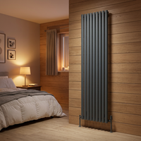 Radiateur ovale en acier de style design à économie d'énergie pour le chauffage central domestique