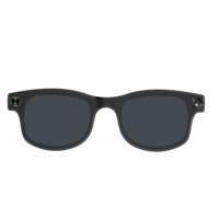 Gafas Inteligentes con IA y Cámara, Captura de Video y Fotos por Wifi, Traducción en Tiempo Real, Grabación, Asistente con IA para Personas con Discapacidad Visual