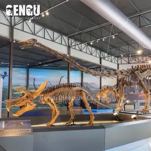 Heißer verkauf replik dinosaurier-fossilien bunten dinosaurierskelett