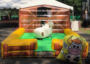 Inflable loco mecánico Rodeo Bull Riding Machine niños fiesta y evento <span class=keywords><strong>publicidad</strong></span> inflables modelo tipo juguete - Product Image 2