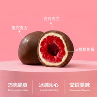 Cokelat Buah Segar Kustom Isi Kakao Murni Lezat Rasa Stroberi/Nanas/Mangga/Raspberry/Blueberry Grosir